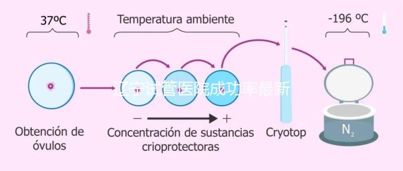 遼寧試管醫院成功率最新前十排名流出，盛京醫院竟錯失榜首