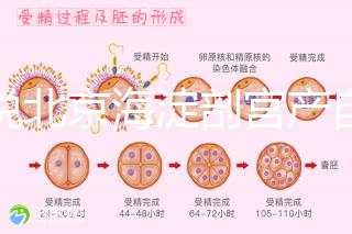 誰說北京海淀剖宮產自付費用高，了解2024年生育保險報銷比例？