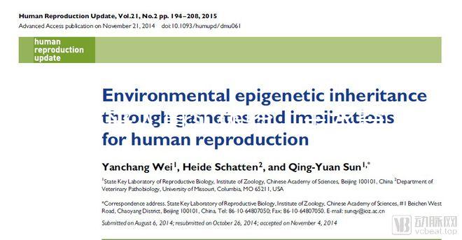 過來(lái)人真實(shí)體驗(yàn)：羊水穿刺疼不疼，說說我做完的感覺