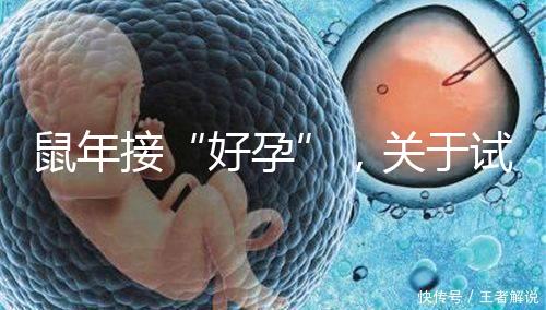 鼠年接“好孕”，關于試管嬰兒取卵的那些事兒！