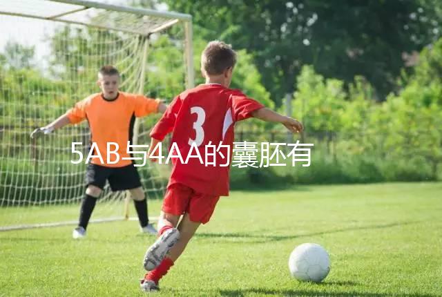 5AB與4AA的囊胚有什么區別?誰更適合移植?