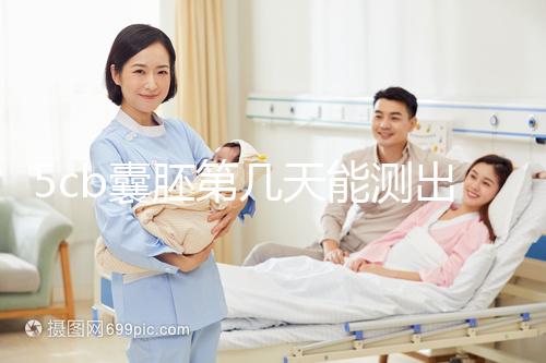 5cb囊胚第幾天能測出看移植成功后續發育怎么樣，不懂戳