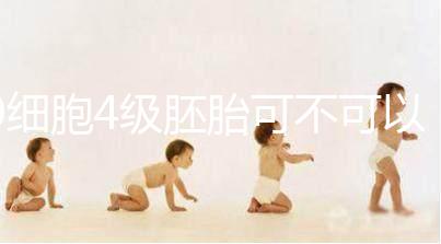 9細(xì)胞4級胚胎可不可以移植，看完質(zhì)量差不差再下定論