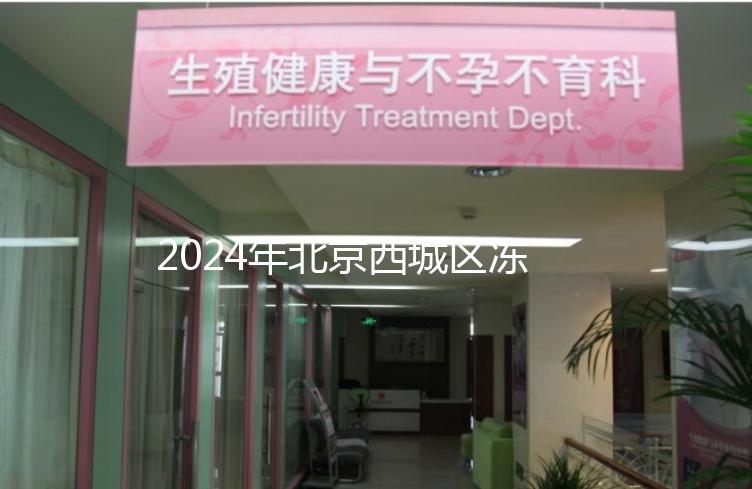 2024年北京西城區(qū)凍卵3個月更新費用！選擇合適的機構非常重要！