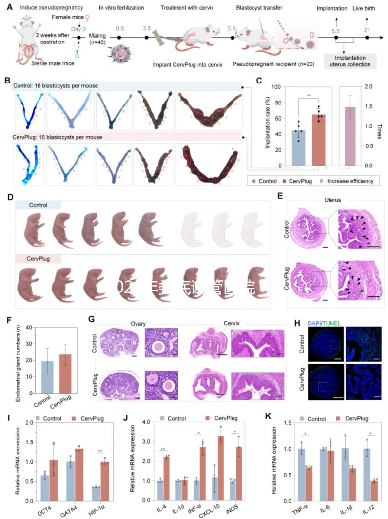 2024年婁底試管醫(yī)院排名來襲！成功率最高的生殖中心是..