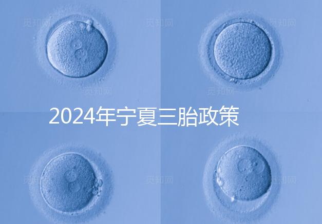 2024年寧夏三胎政策最新規(guī)定來襲,附西夏區(qū)實(shí)施時間
