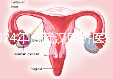 2024年，武漢同濟醫院不孕癥醫生排名公布，選擇專家迅速登記