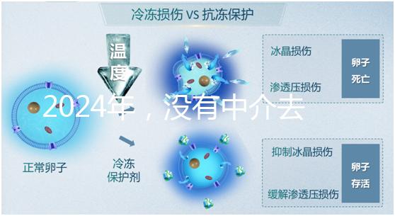 2024年，沒有中介去泰國做試管嬰兒？他們有必要這么說嗎？...