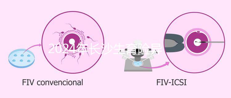 2024年長沙生育險異地報銷備案流程，附比例介紹