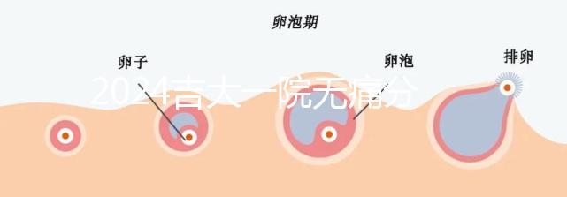 2024吉大一院無痛分娩費用全策略包括從備案到生產(chǎn)