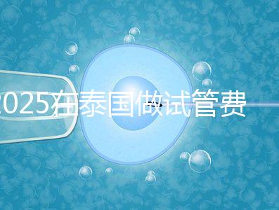 2025在泰國做試管費用預估，助孕一次不到10萬