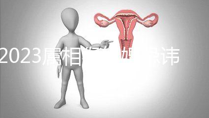 2023屬相猴結(jié)婚忌諱這三種屬相！屬豬的伴娘無需避開