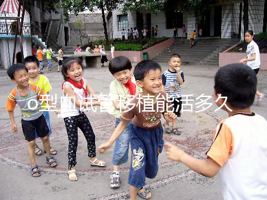 o型血試管移植能活多久？壽命長的關(guān)鍵在于這些點